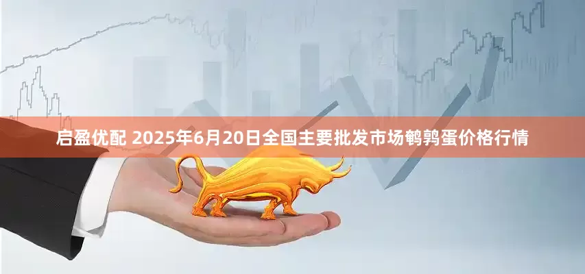 启盈优配 2025年6月20日全国主要批发市场鹌鹑蛋价格行情