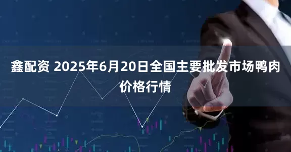 鑫配资 2025年6月20日全国主要批发市场鸭肉价格行情