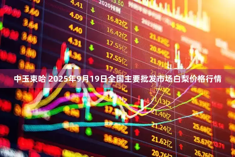 中玉束哈 2025年9月19日全国主要批发市场白梨价格行情